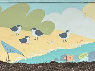 Soccer team collab boosts profile of artist Kapitulnik