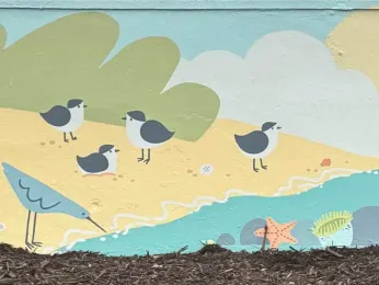 Soccer team collab boosts profile of artist Kapitulnik