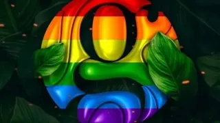 Gaze Bar in Curaçao: Caribbean Hospitality and LGBTQ+ Pride in the Heart of Willemstad