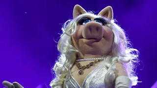 Magic in the Making: Miss Piggy Set for Broadway Debut in Rob Lake’s Magic Show