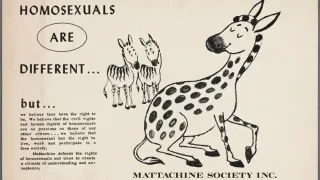 Mattachine Society: The Enduring Legacy of an Early LGBTQ+ Rights Movement